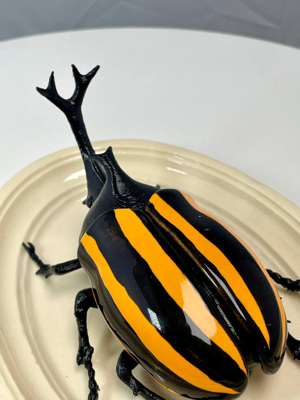 Chromatic Beetle Yellow Harlequin