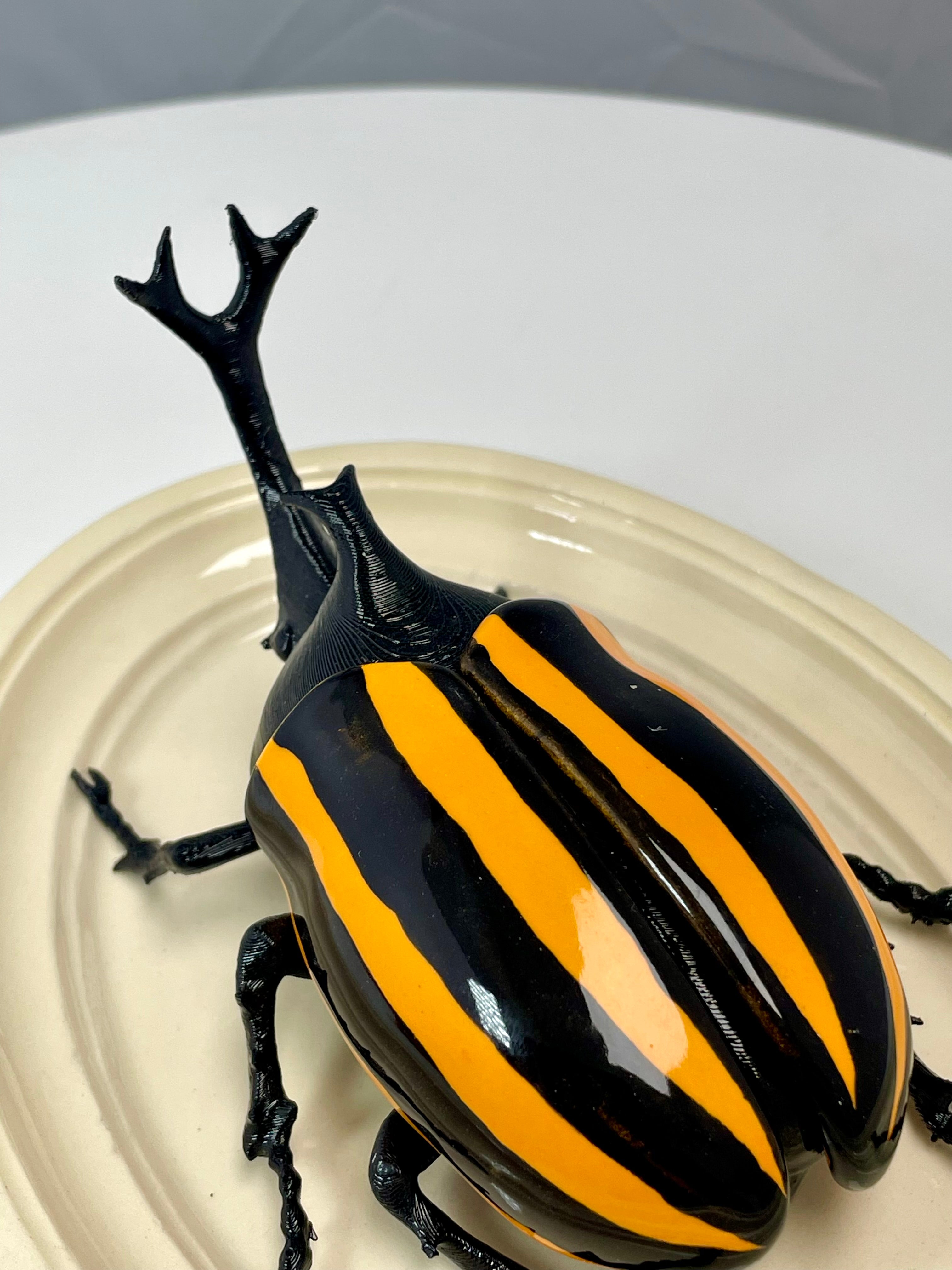 Chromatic Beetle Yellow Harlequin
