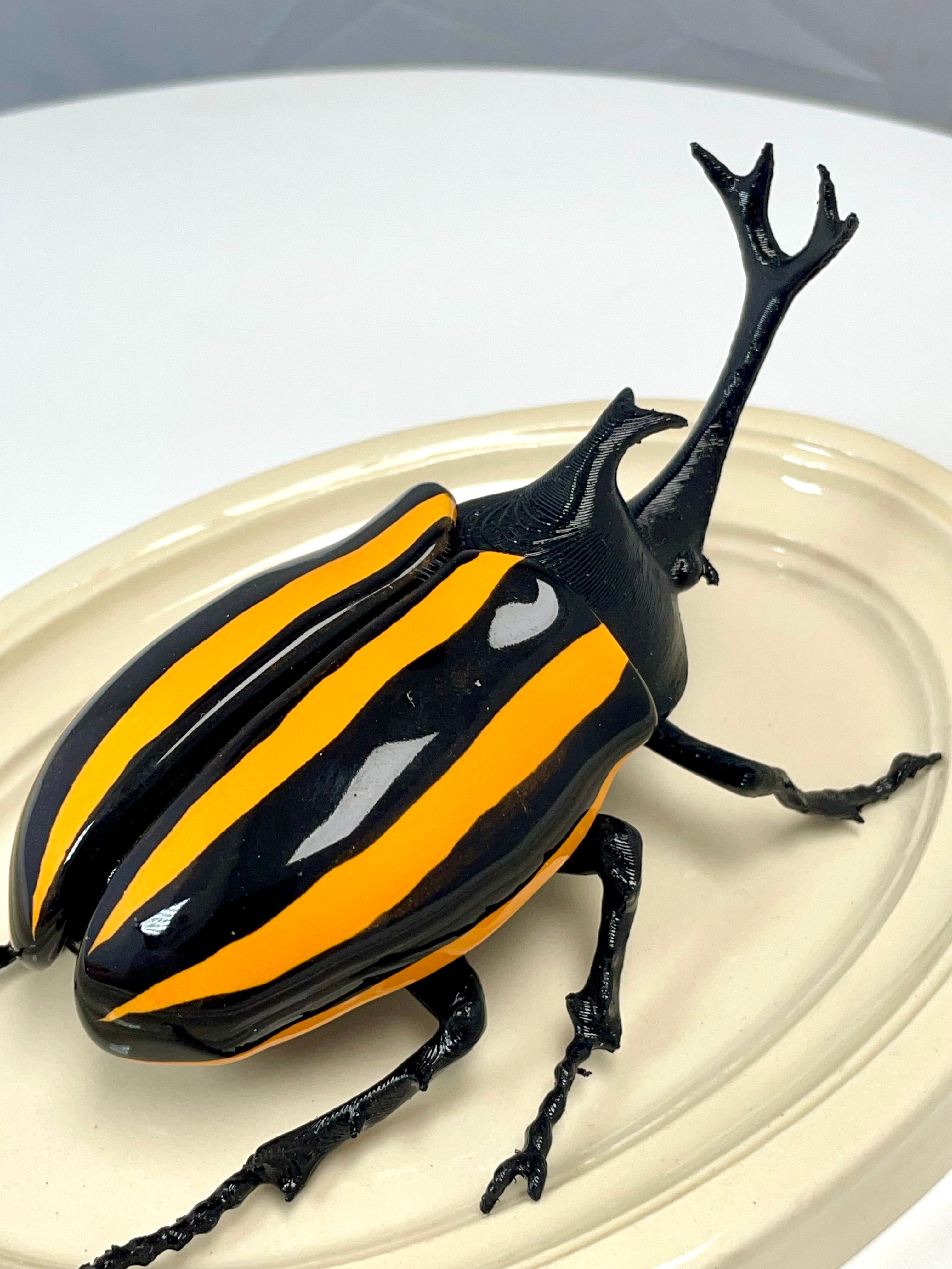 Chromatic Beetle Yellow Harlequin