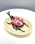 Chromatic Beetle Strawberry Cream