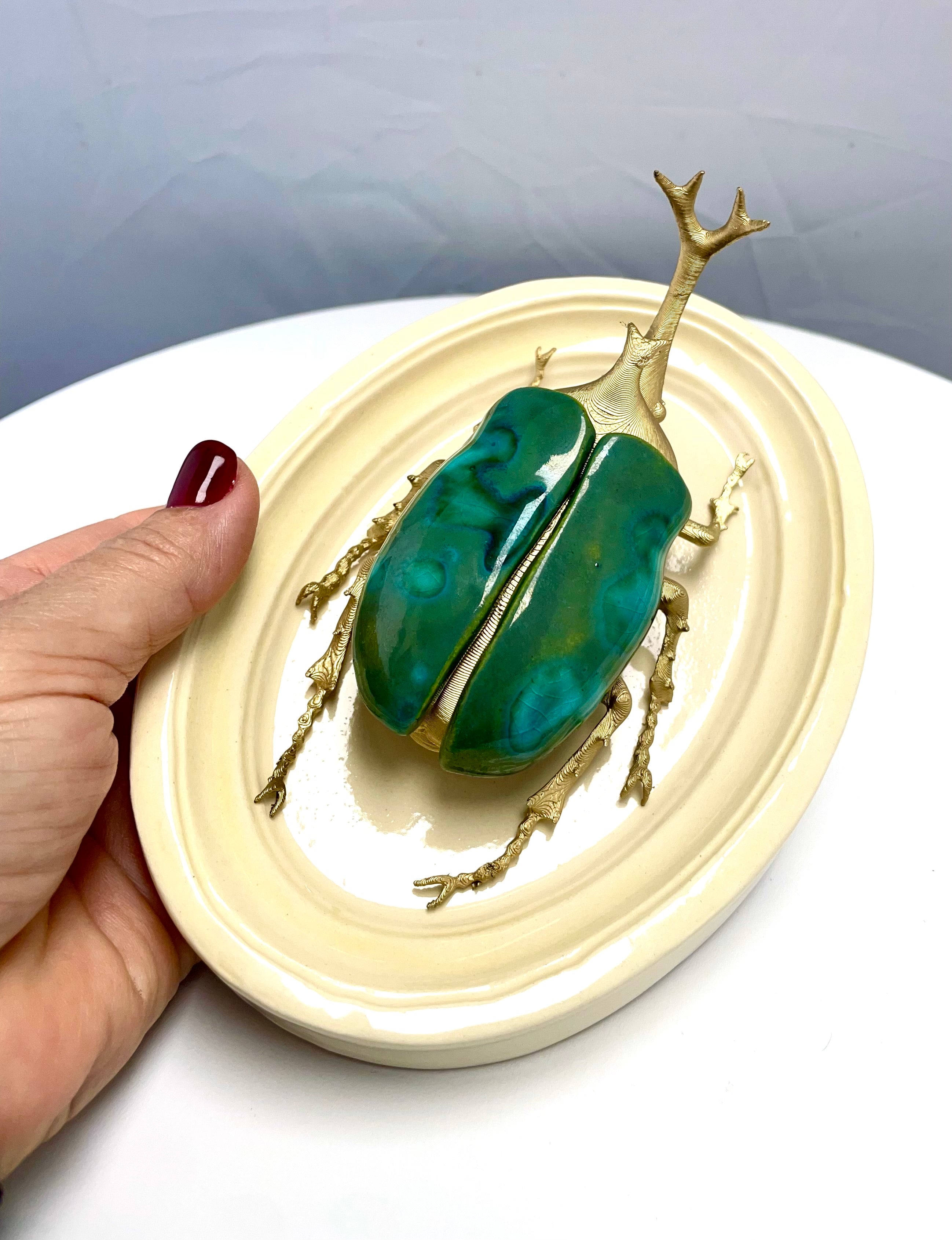 Chromatic Beetle Gilded Peacock