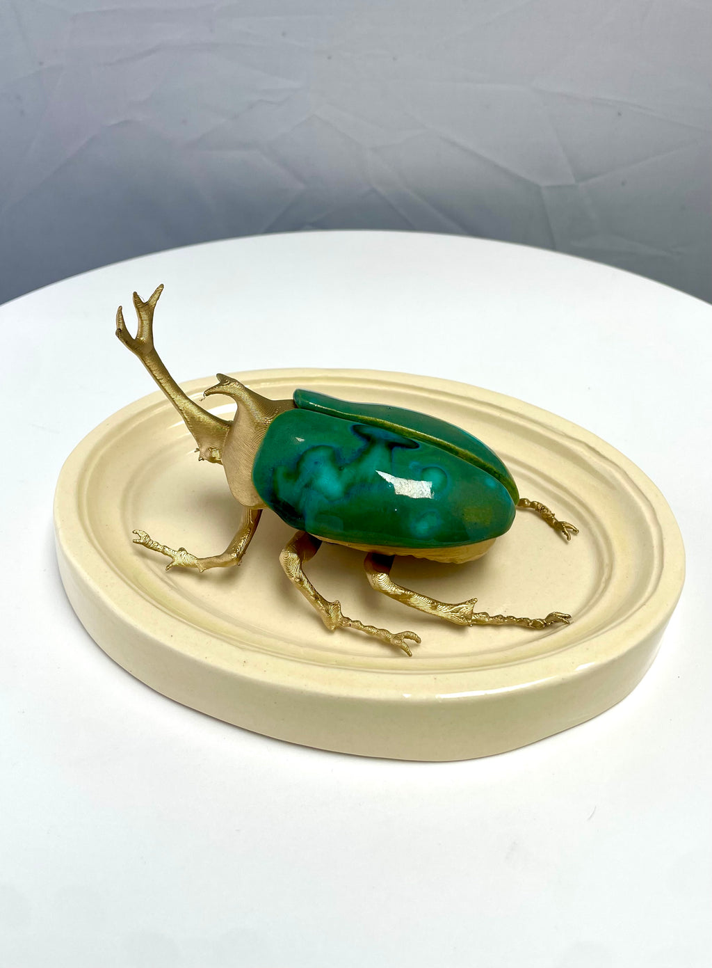 Chromatic Beetle Gilded Peacock