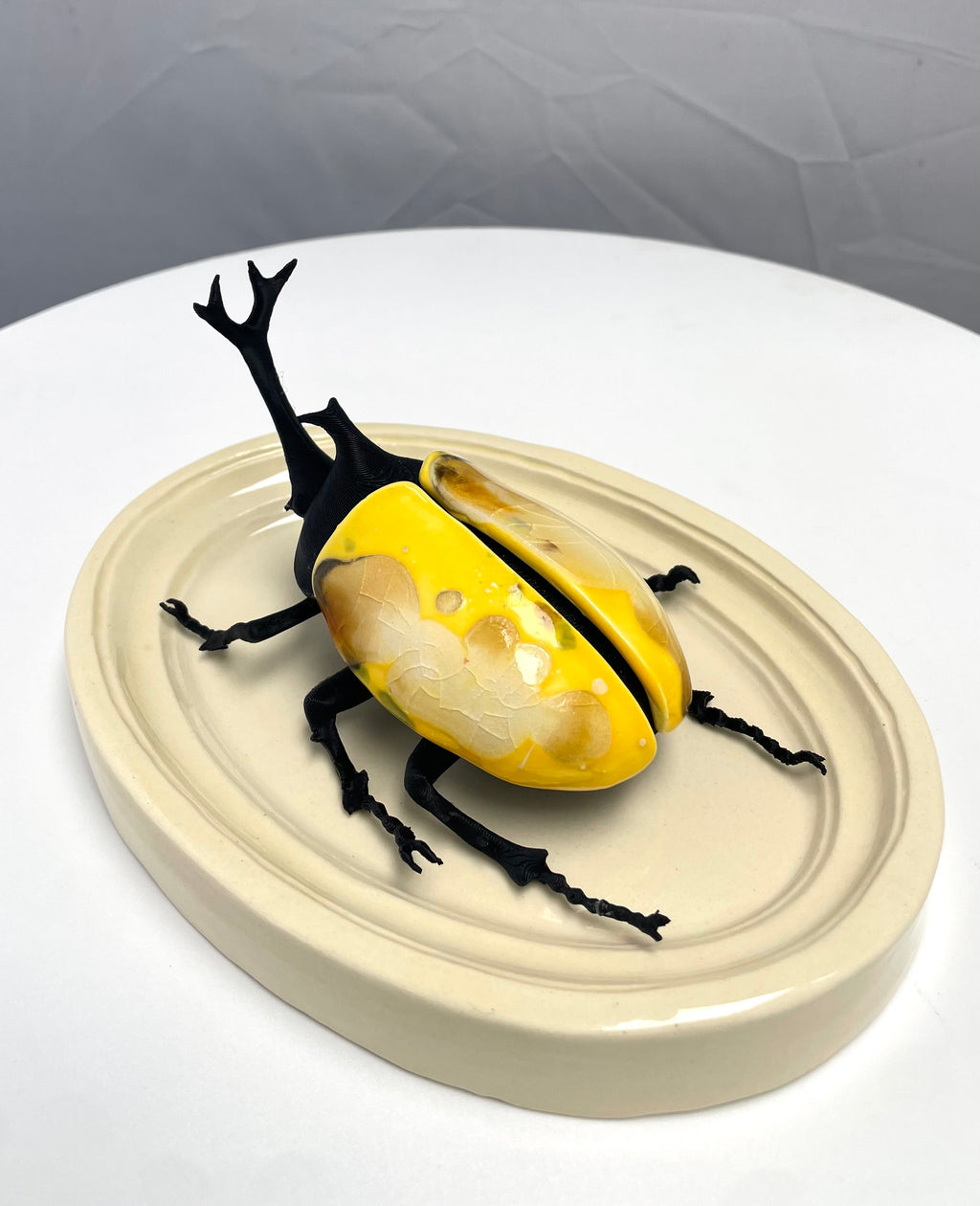 Chromatic Beetle Icarus