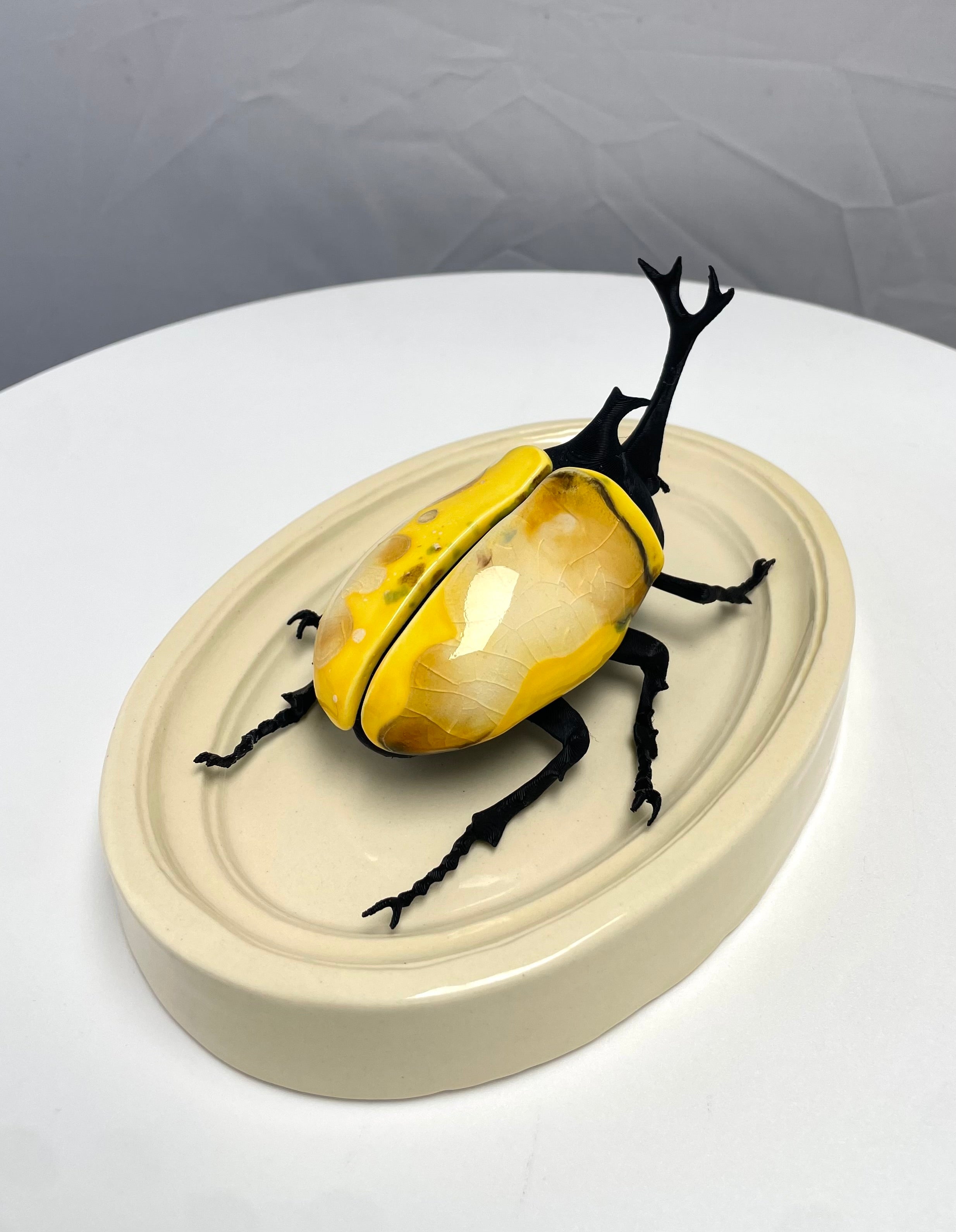 Chromatic Beetle Icarus