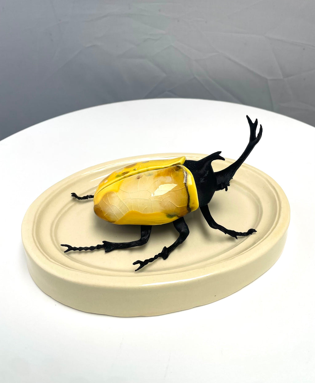 Chromatic Beetle Icarus