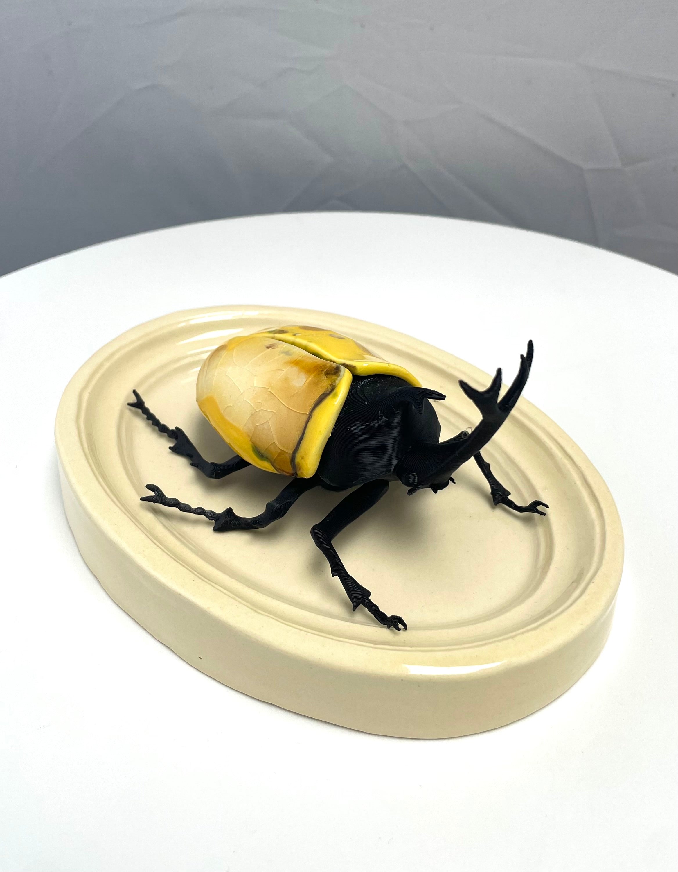 Chromatic Beetle Icarus