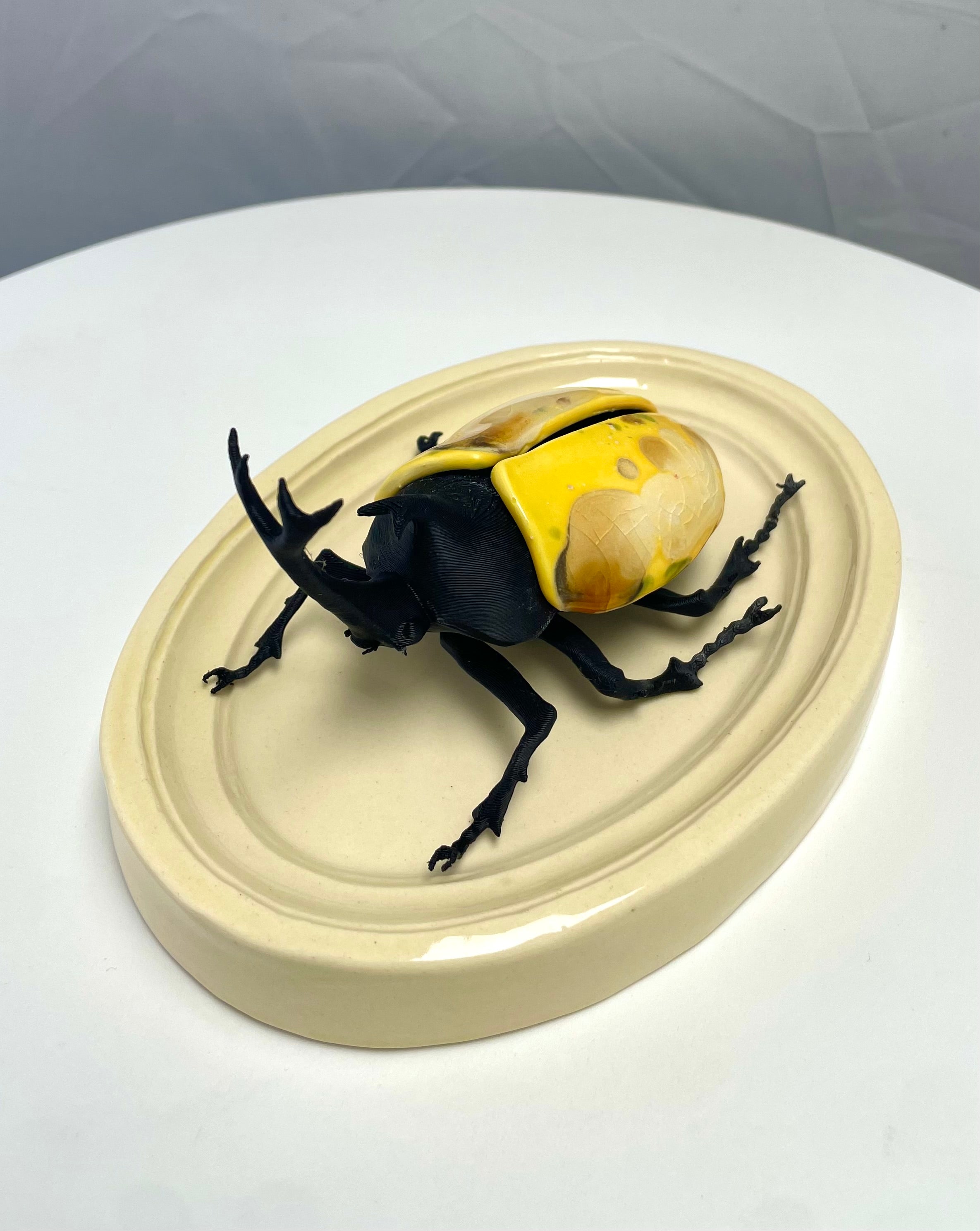 Chromatic Beetle Icarus