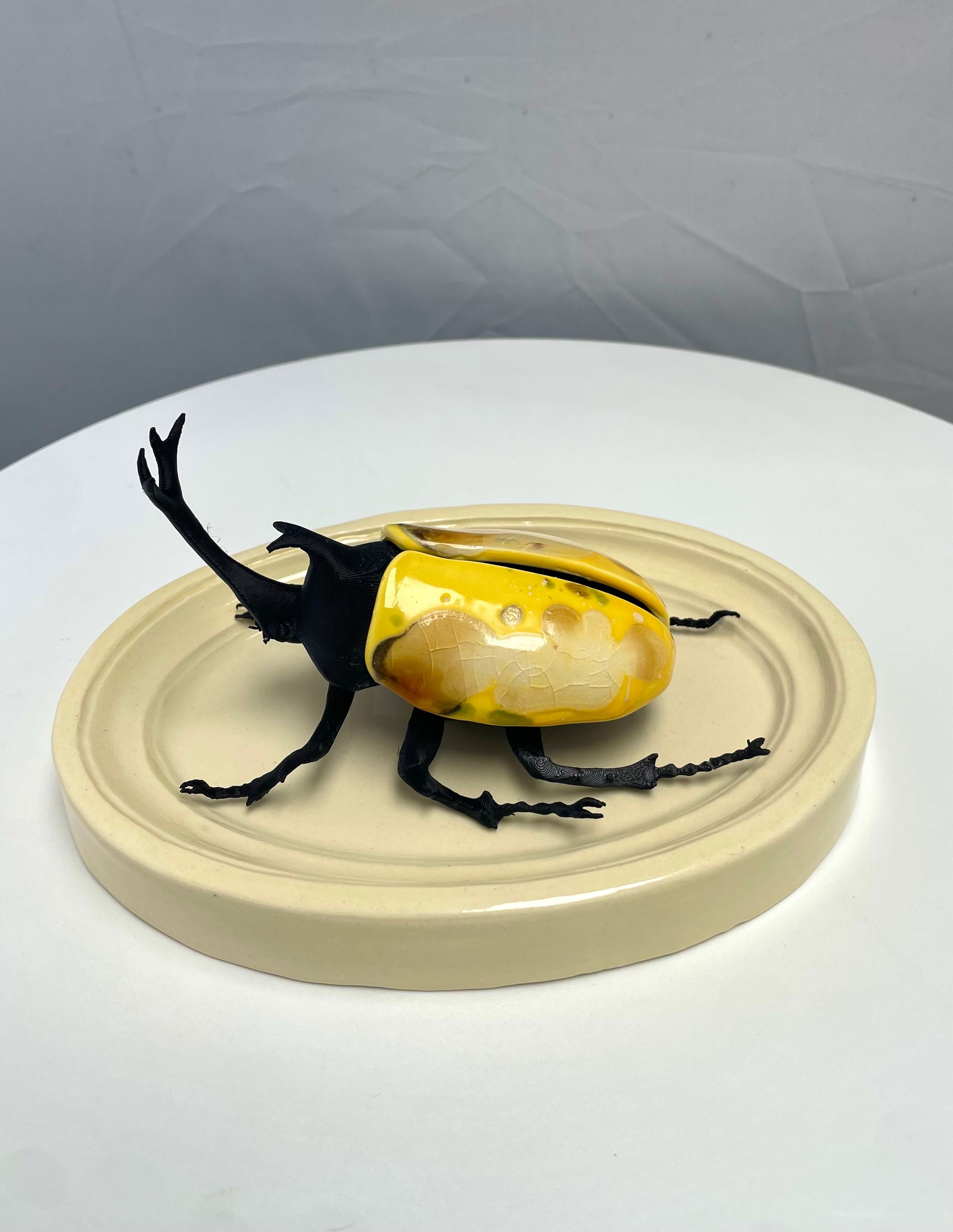 Chromatic Beetle Icarus