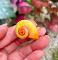 Unique Handmade Ceramic Colorful Polymita Tangerine Pendant Jewelry.
