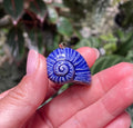 Unique Handmade Ceramic Colorful Polymita Indigo Pendant Jewelry.
