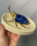 Chromatic Beetle Golden Reef