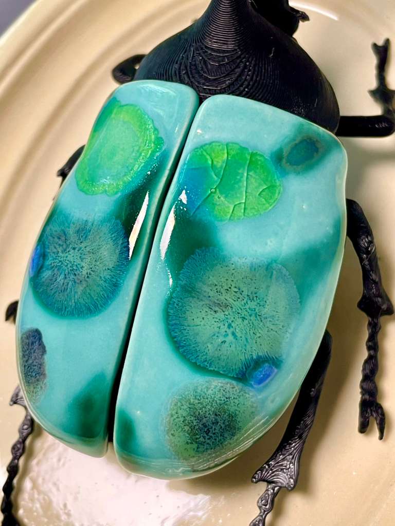 Chromatic Beetle Life