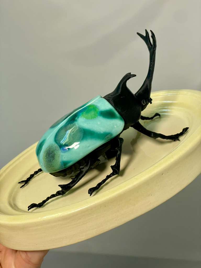 Chromatic Beetle Life
