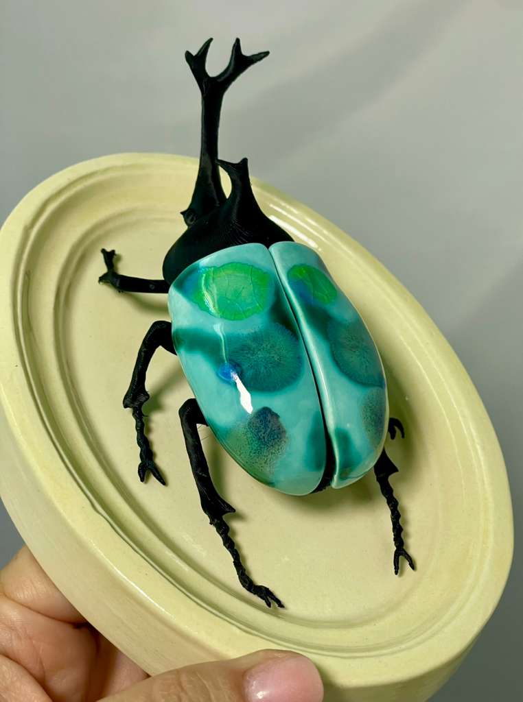 Chromatic Beetle Life
