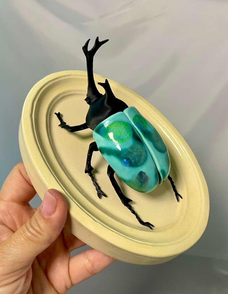 Chromatic Beetle Life