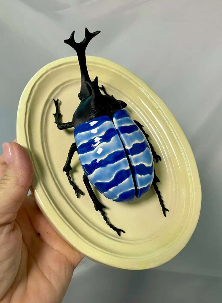 Chromatic Beetle Pacific Ocean
