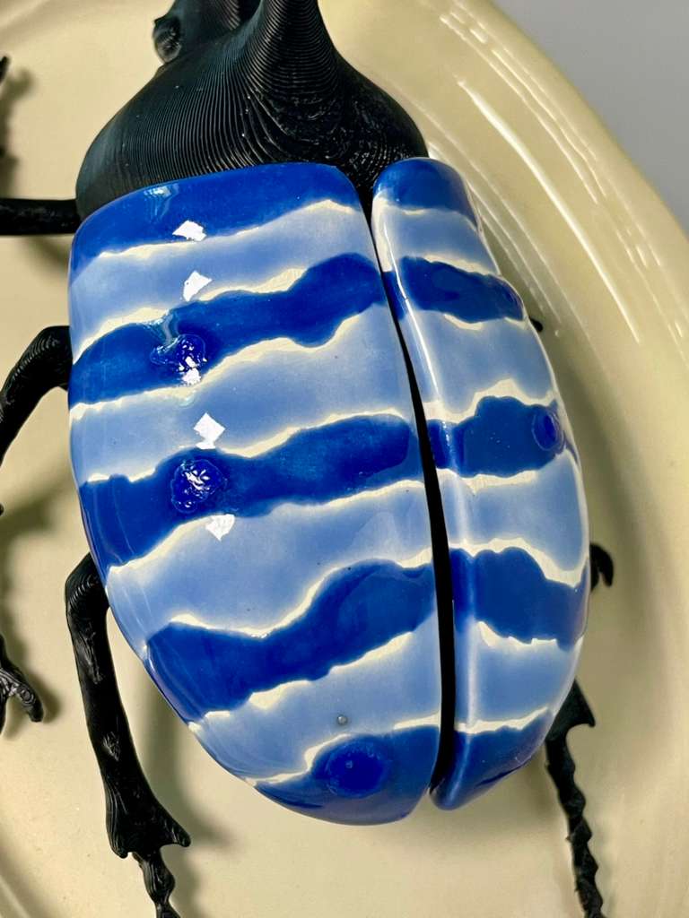 Chromatic Beetle Pacific Ocean