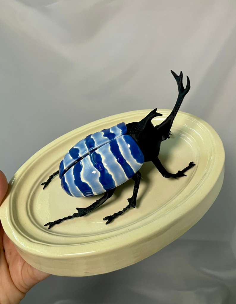 Chromatic Beetle Pacific Ocean