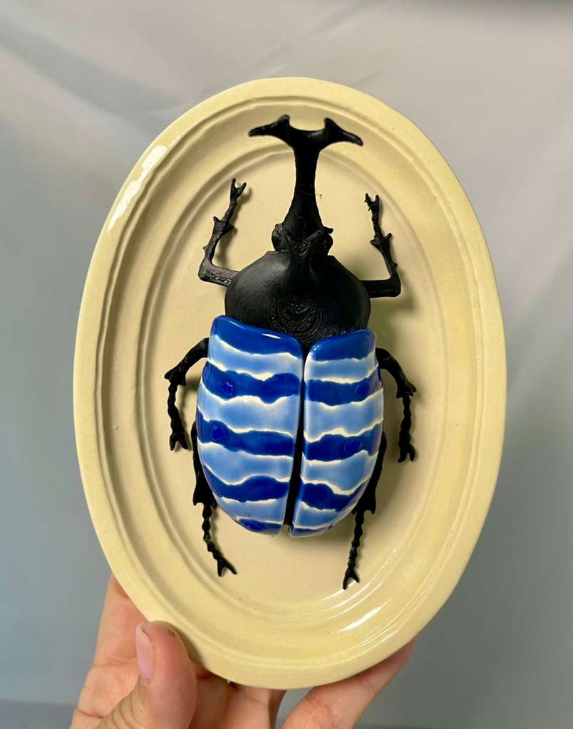 Chromatic Beetle Pacific Ocean
