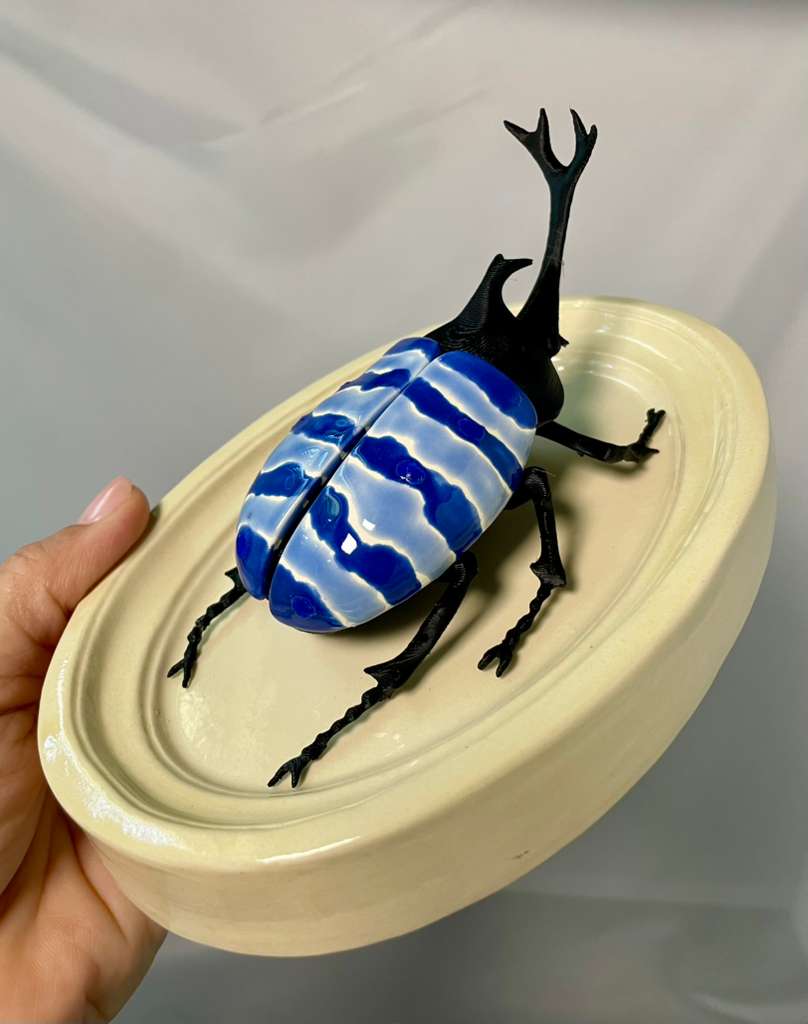 Chromatic Beetle Pacific Ocean