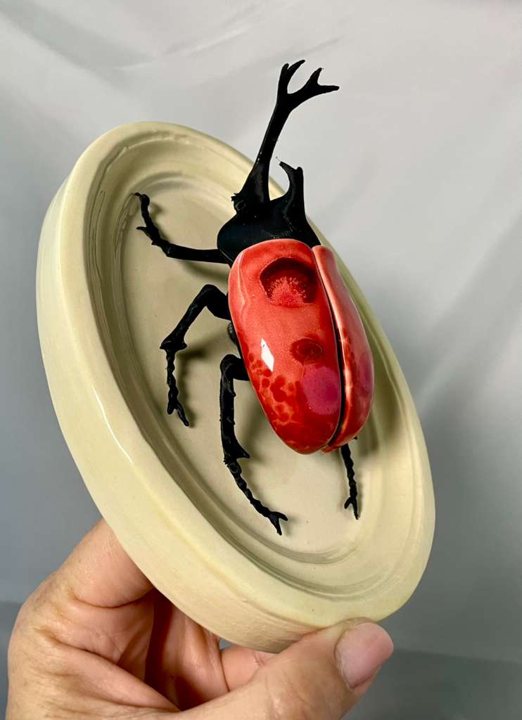 Chromatic Beetle Watermelon