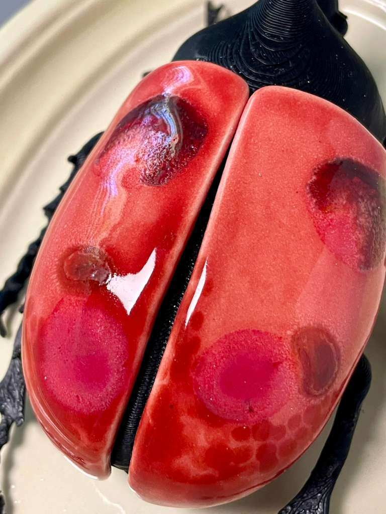 Chromatic Beetle Watermelon
