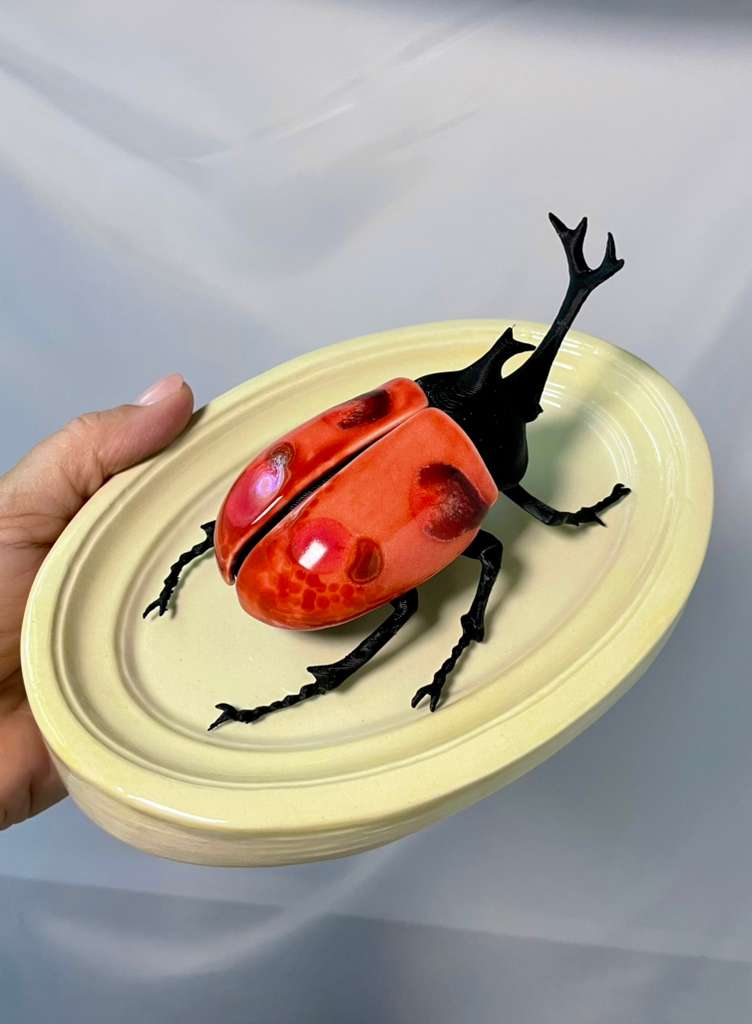 Chromatic Beetle Watermelon
