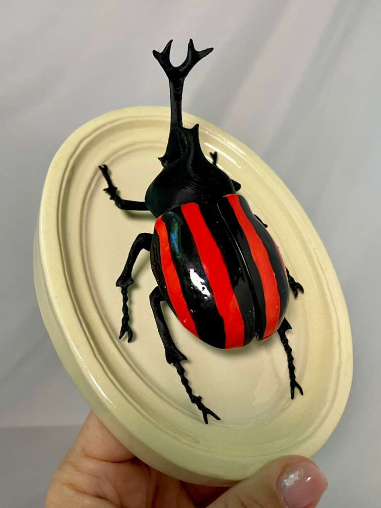 Chromatic Beetle Red Neon Harlequin