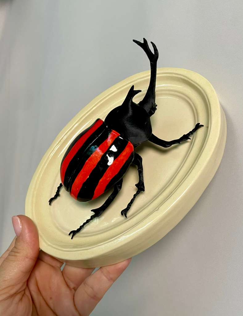 Chromatic Beetle Red Neon Harlequin