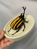 Chromatic Beetle Yellow Neon Harlequin