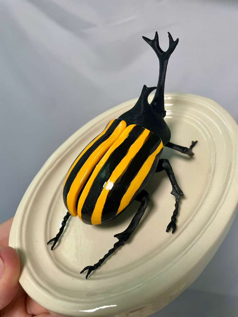 Chromatic Beetle Yellow Neon Harlequin