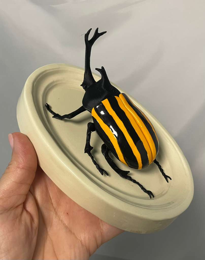 Chromatic Beetle Yellow Neon Harlequin