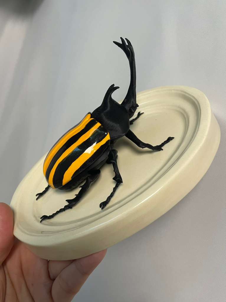 Chromatic Beetle Yellow Neon Harlequin