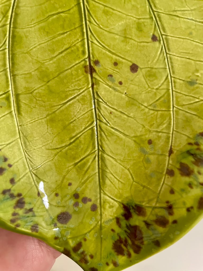 Unique Ceramic Leaf Tray Chartreuse