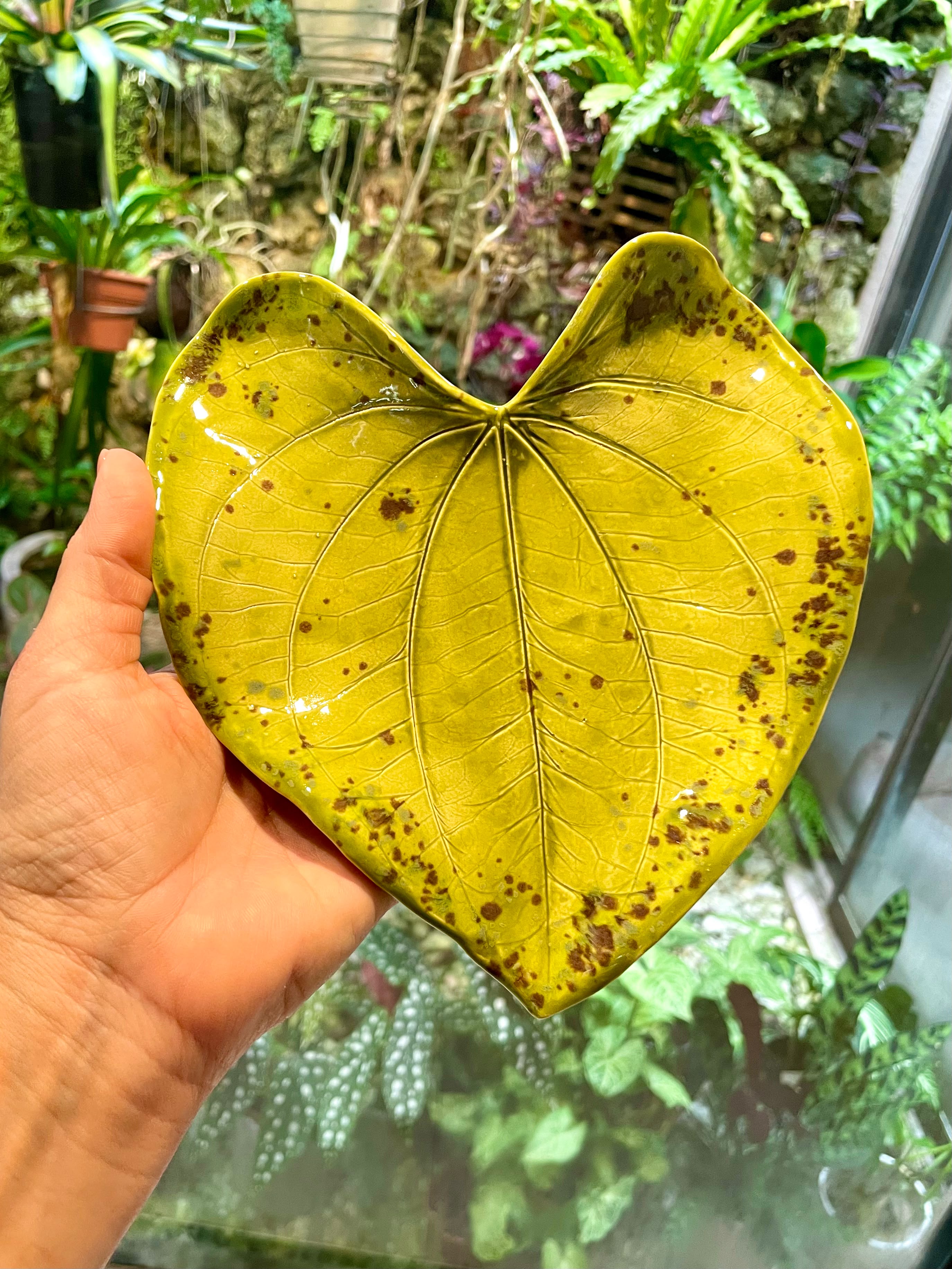 Unique Ceramic Leaf Tray Chartreuse