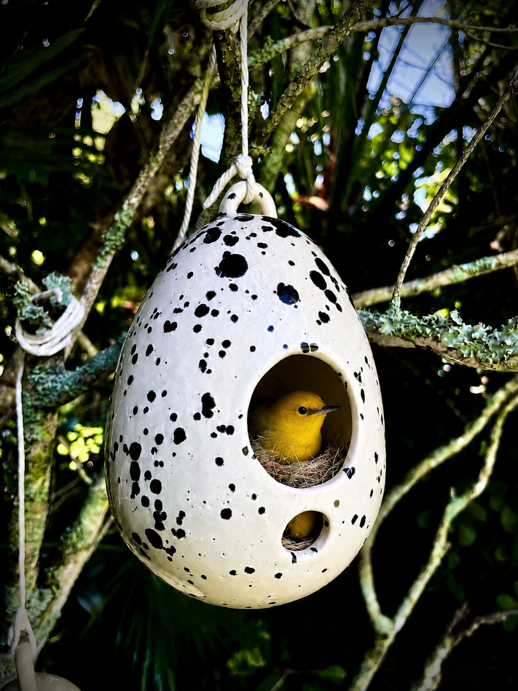 Unique Handmade Ceramic Birdhouse Speckled Egg Hanging Pottery