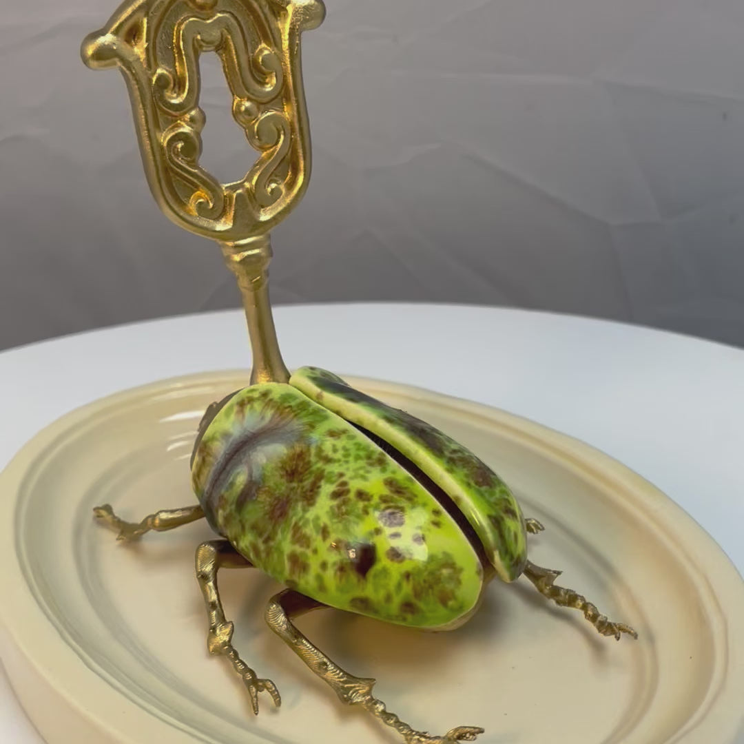 Chromatic Bettle Meadow Gilded Steampunk