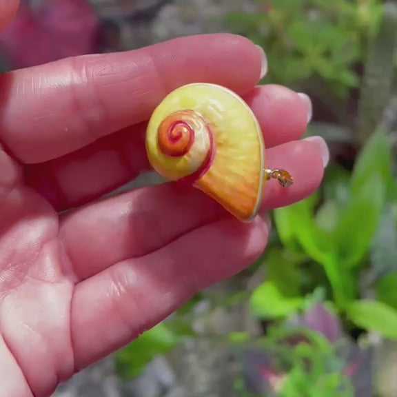 Unique Handmade Ceramic Colorful Polymita Tangerine Pendant Jewelry.