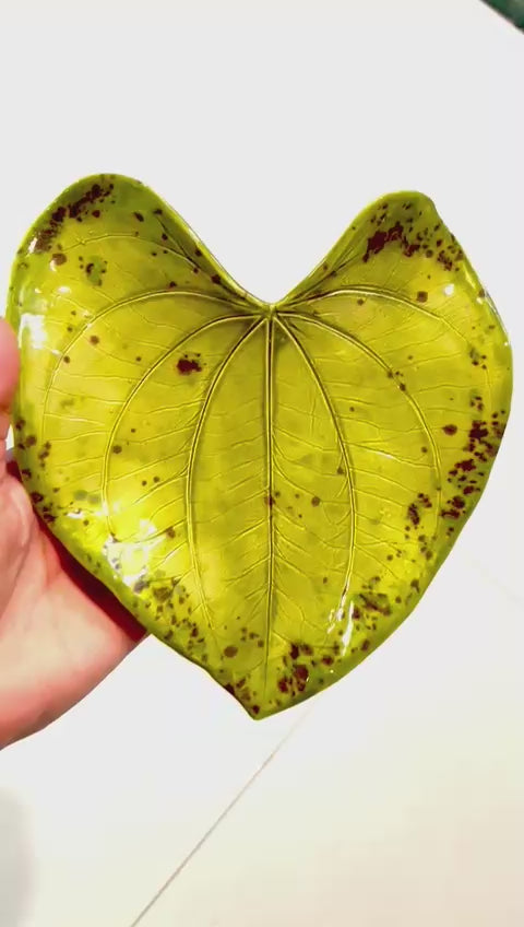 Unique Ceramic Leaf Tray Chartreuse