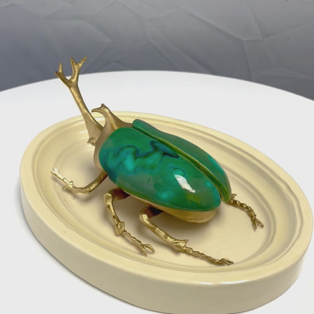 Chromatic Beetle Gilded Peacock