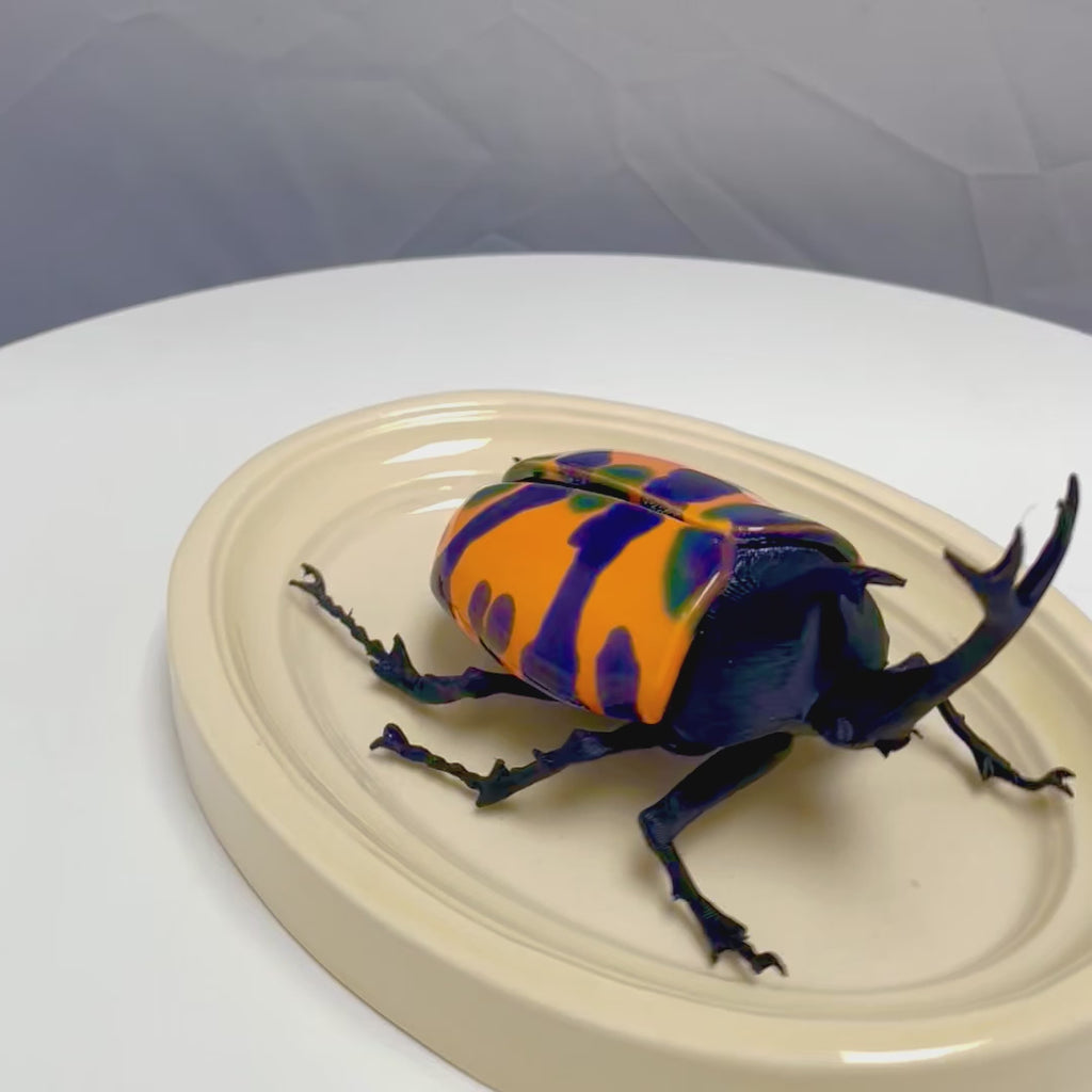 Chromatic Beetle Psych