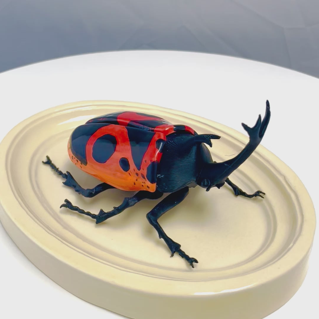 Chromatic Beetle Tribal