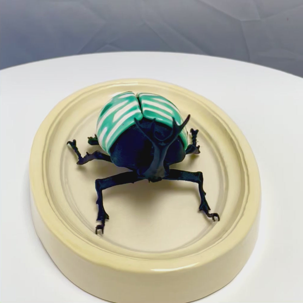 Chromatic Beetle Aqua
